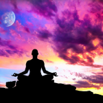 Somatic Coaching: Watch Your Career Blossom